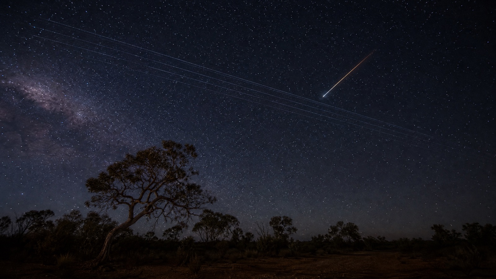 Long-exposure photo of the WA night sky showing parallel Starlink satellite trails crossing the stars, with a single bright reentry streak burning through the upper atmosphere above silhouetted bushland.